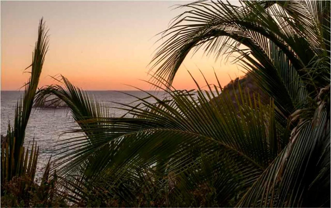 Casa Sol Zipolite Hotel ภายนอก รูปภาพ